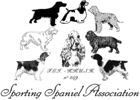 CAC voor spaniels (groep VIII)